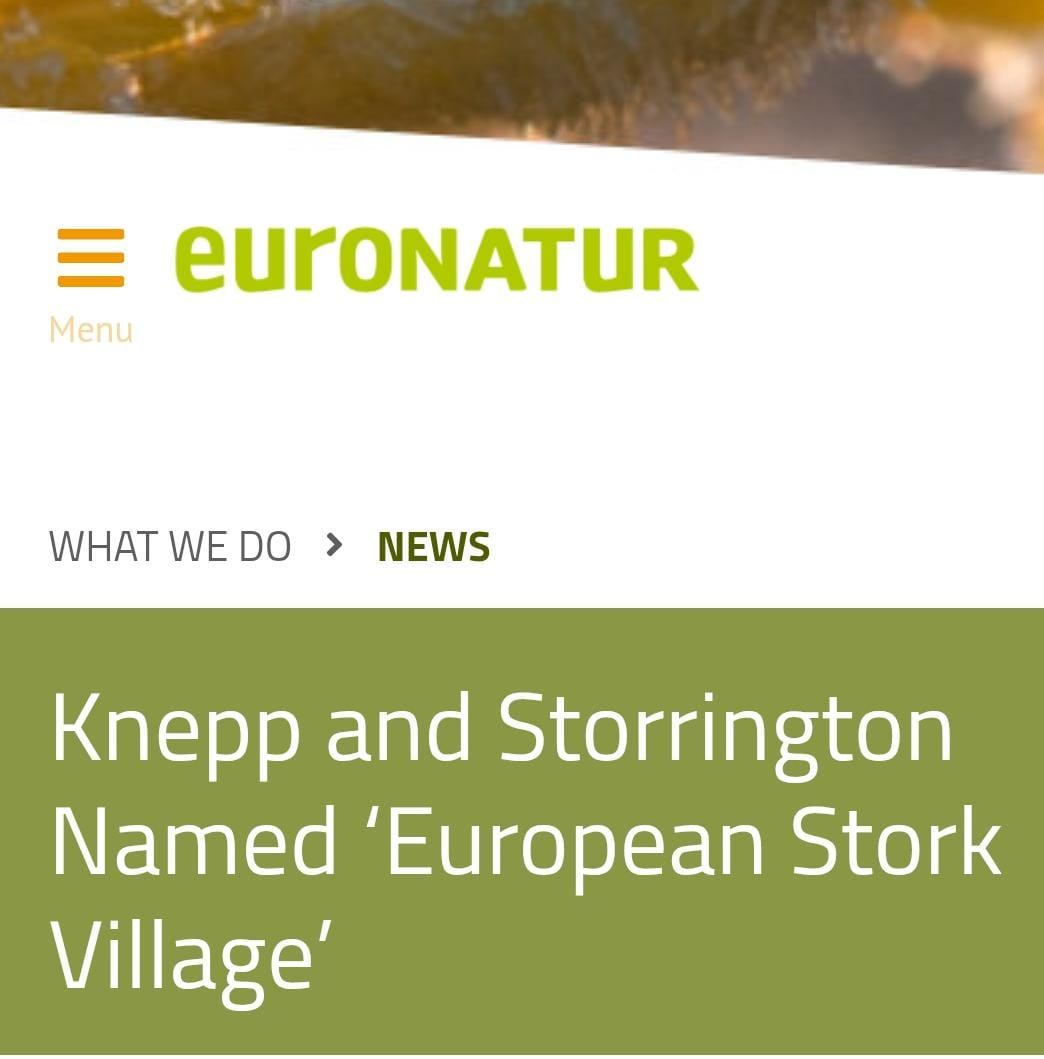 Knepp and Storrington named ‘European Stork Village’