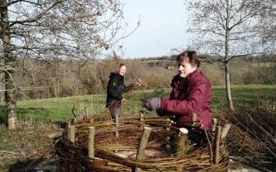 Volunteer Spotlight: Rosemary