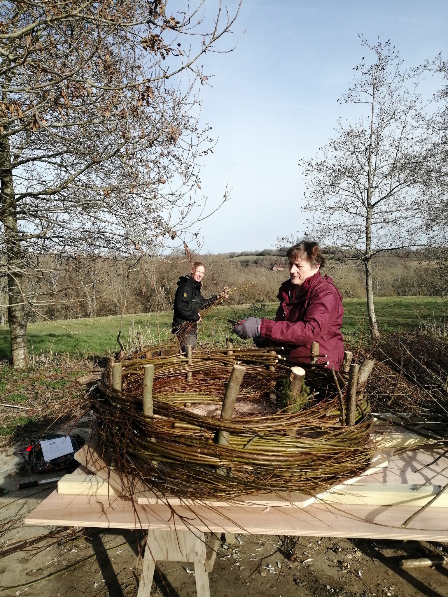 Volunteer Spotlight: Rosemary