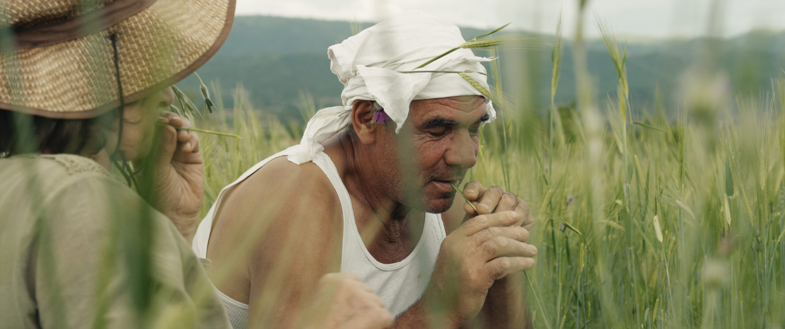 Cotswolds Wildlife Park Training Day