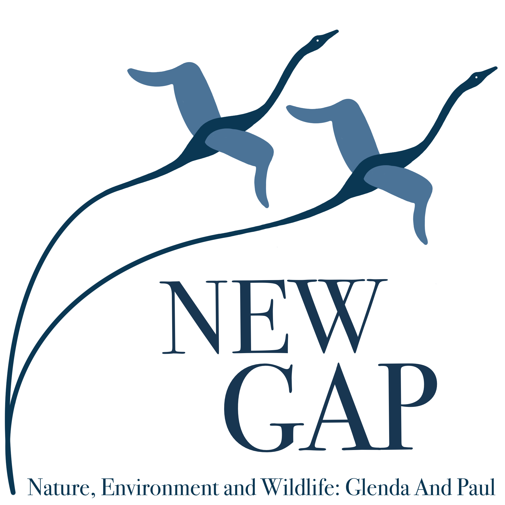 New Gap logo