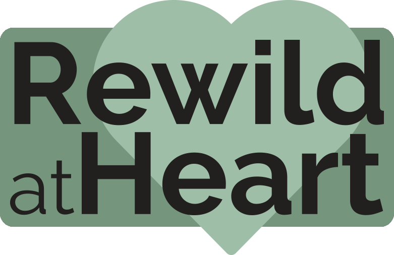 Rewild full logo (003)