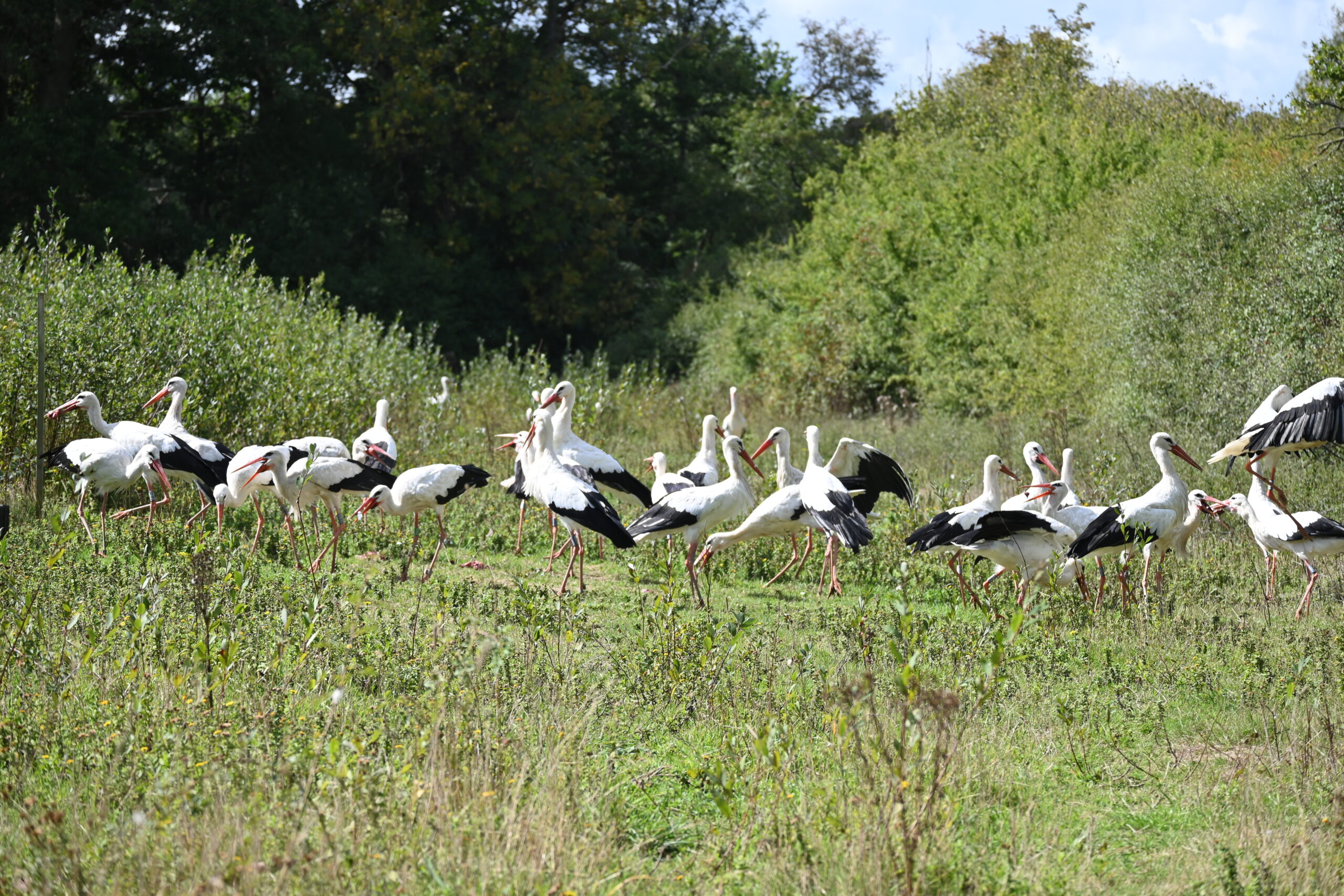 Cotswolds Wildlife Park visit 2024