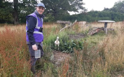 New Feature on the Knepp Wilding Podcast