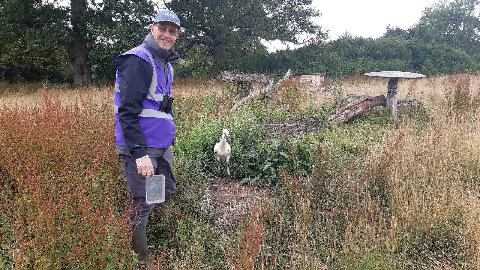 New Feature on the Knepp Wilding Podcast