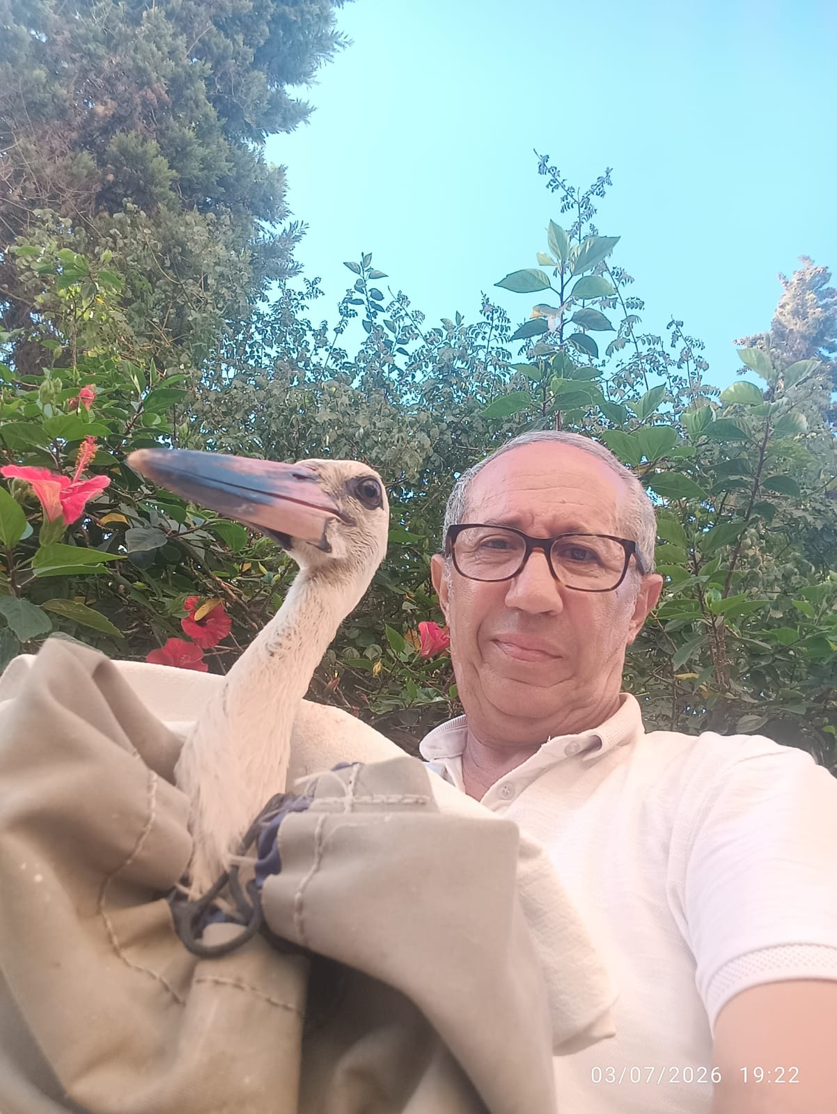 Guardian of the Storks